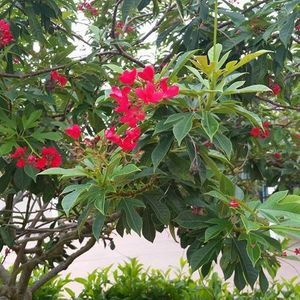 Meet your Posher, Stephny